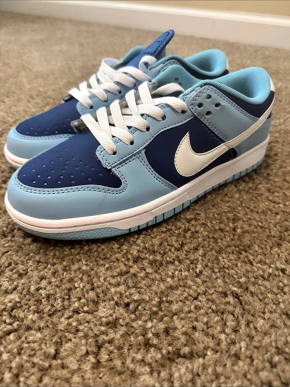 NEW Nike Dunks, size 8